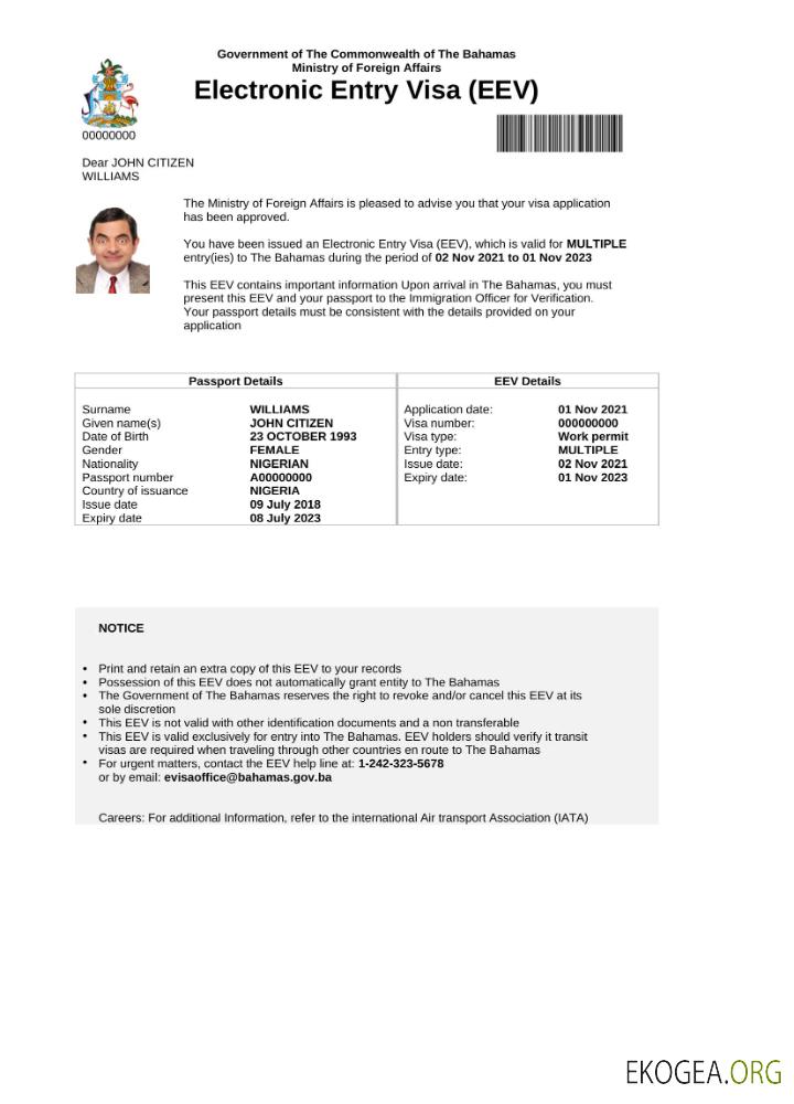 Visa électronique pour les Bahamas en modèle Word et PDF